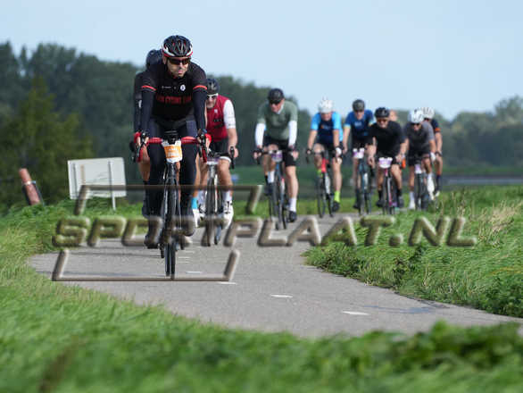 D1426.jpg